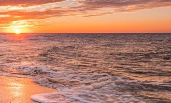 Cape Henlopen