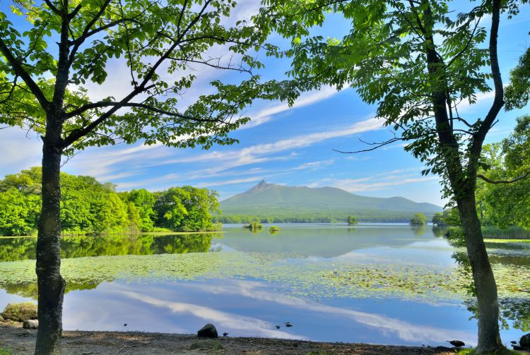 Scenic view of Onuma Lake near Hakodate, a perfect natural escape
