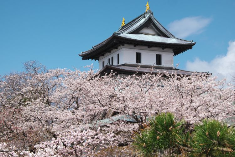 Picturesque landscape of Onuma Park, featuring islands in a tranquil lake