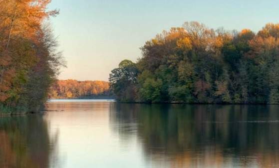 Lums Pond State Park during daytime