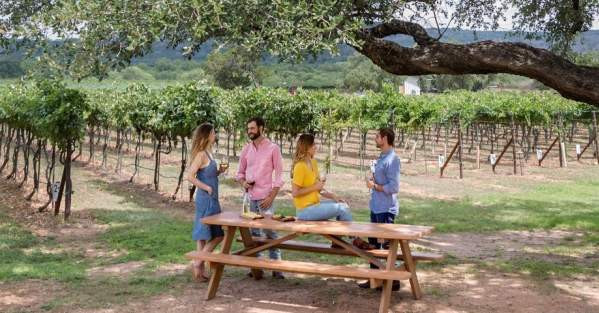 Group of friends enjoying wine together