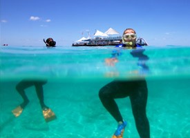 Scuba diving at the Great Barrier Reef