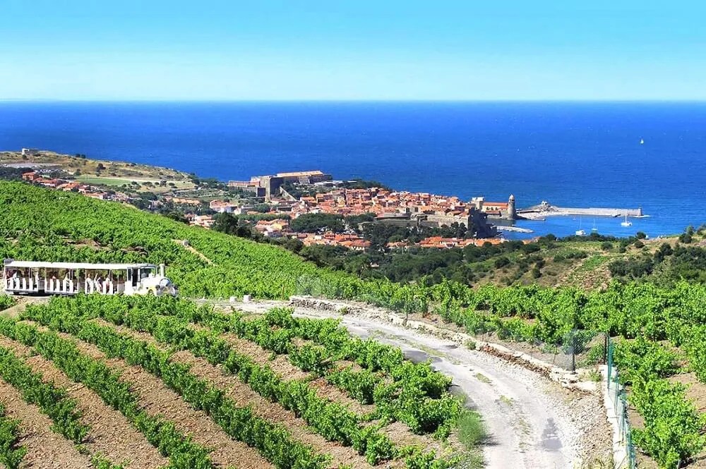 Petit Train Collioure