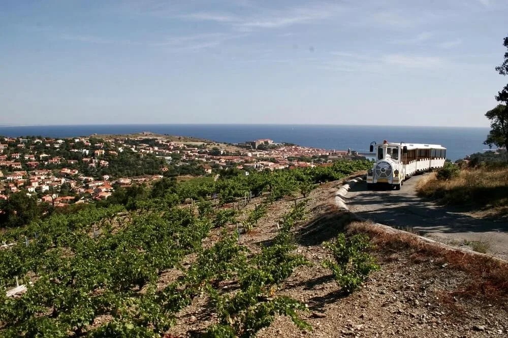Petit Train Collioure 2