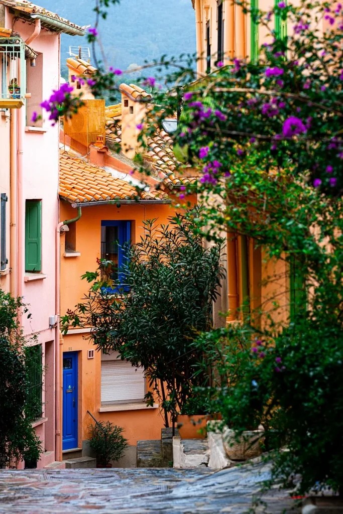 Le Port d’Avall Collioure