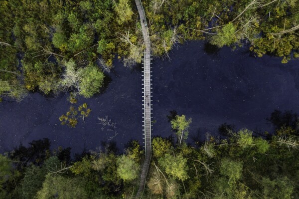 Całowanie Swamp in Mazowieckie Voivodeship, the largest province, offers attractions for active tourists and history enthusiasts.
