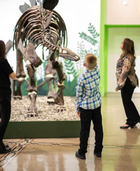 museum exhibits at the Everhart Museum in Scranton PA