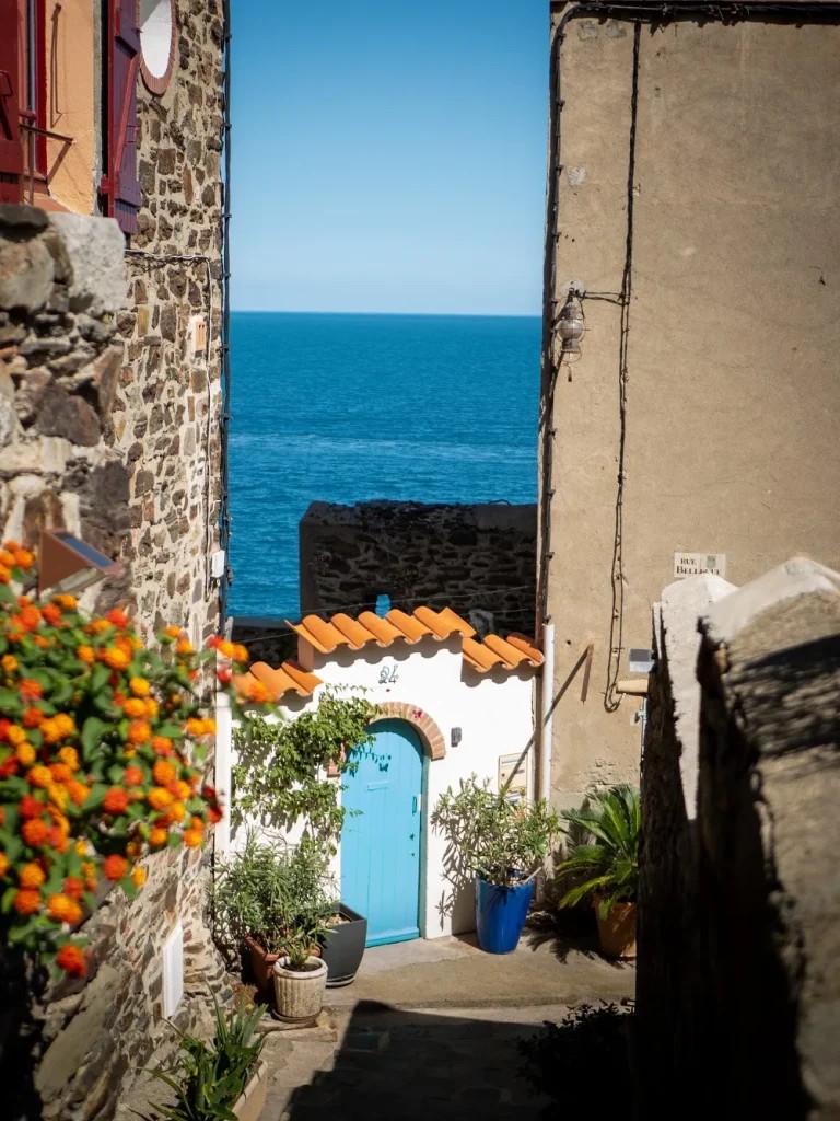 Le Mouré Collioure 4