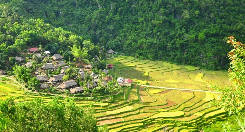 Lac Village with green rice terrace and stilt houses in Mai Chau Valley 