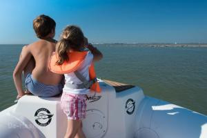 Seal Boat Trip from Zeebrugge