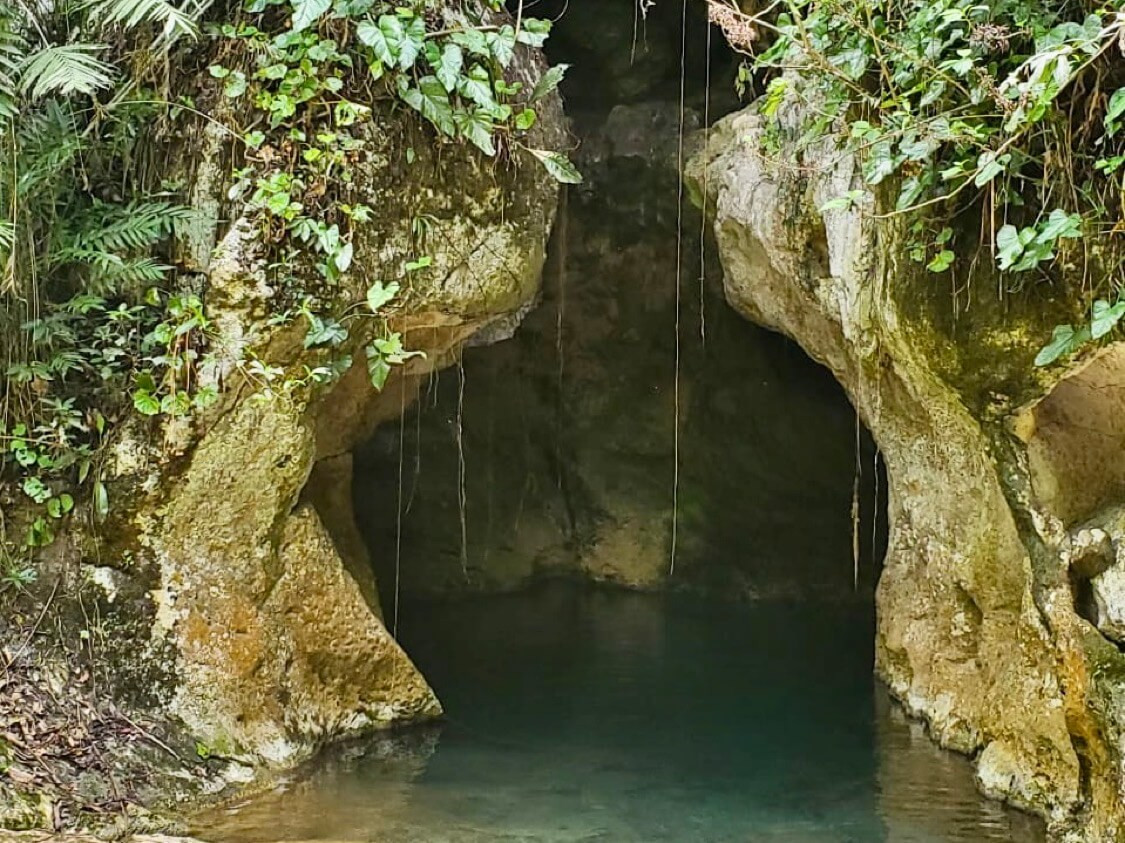 Opening to cave with shallow water and greenery surrounding the cave opening