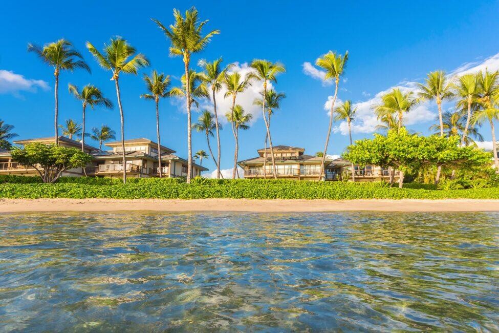 Visitors can express aloha by spending some part of your time giving back to the place and the people that this is home
