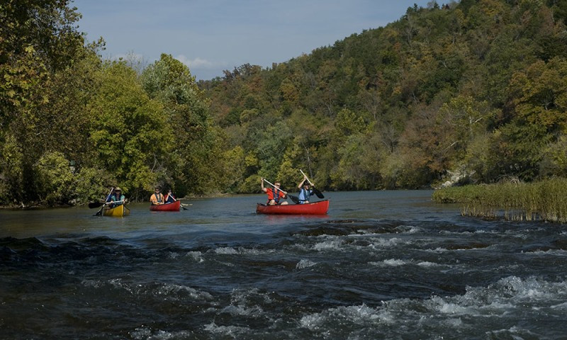 Four people in colorful kayaks paddle down a river surrounded by lush green trees and a scenic hillside.