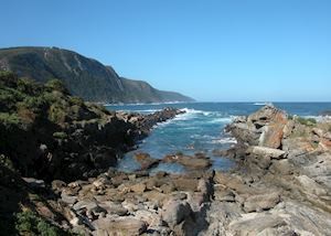 Tsitsikamma Forest