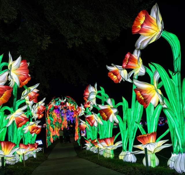 Know Before You Go: Gulf Coast Chinese Lantern Festival at Bellingrath Gardens &amp; Home
