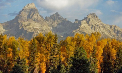 Scenic hiking trail in Jackson Hole, perfect for exploring with SIXT.VN's local expertise