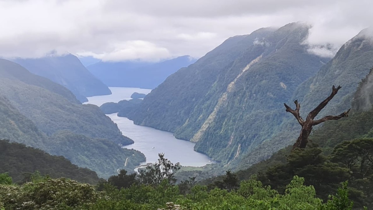 Snow-capped mountains in New Zealand, perfect for skiing and snowboarding