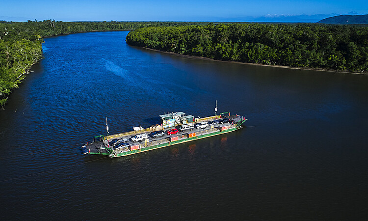 Daintree River cruise for wildlife spotting