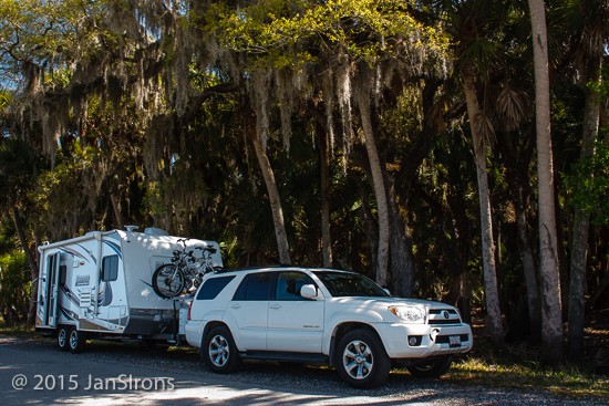 Shakedown - Myakka River State Park, Florida