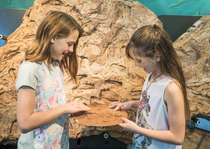 Children exploring the Age of Fishes Museum in Canowindra, discovering ancient marine life