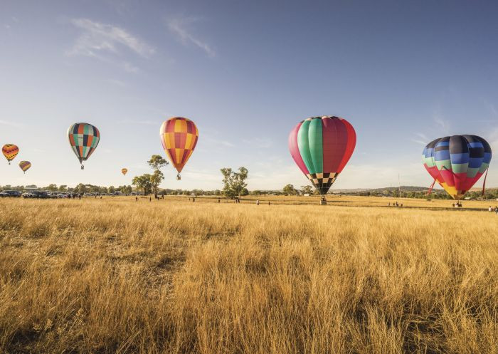 Balloons taking off during the Canowindra International Balloon Challenge, showcasing the event's grandeur