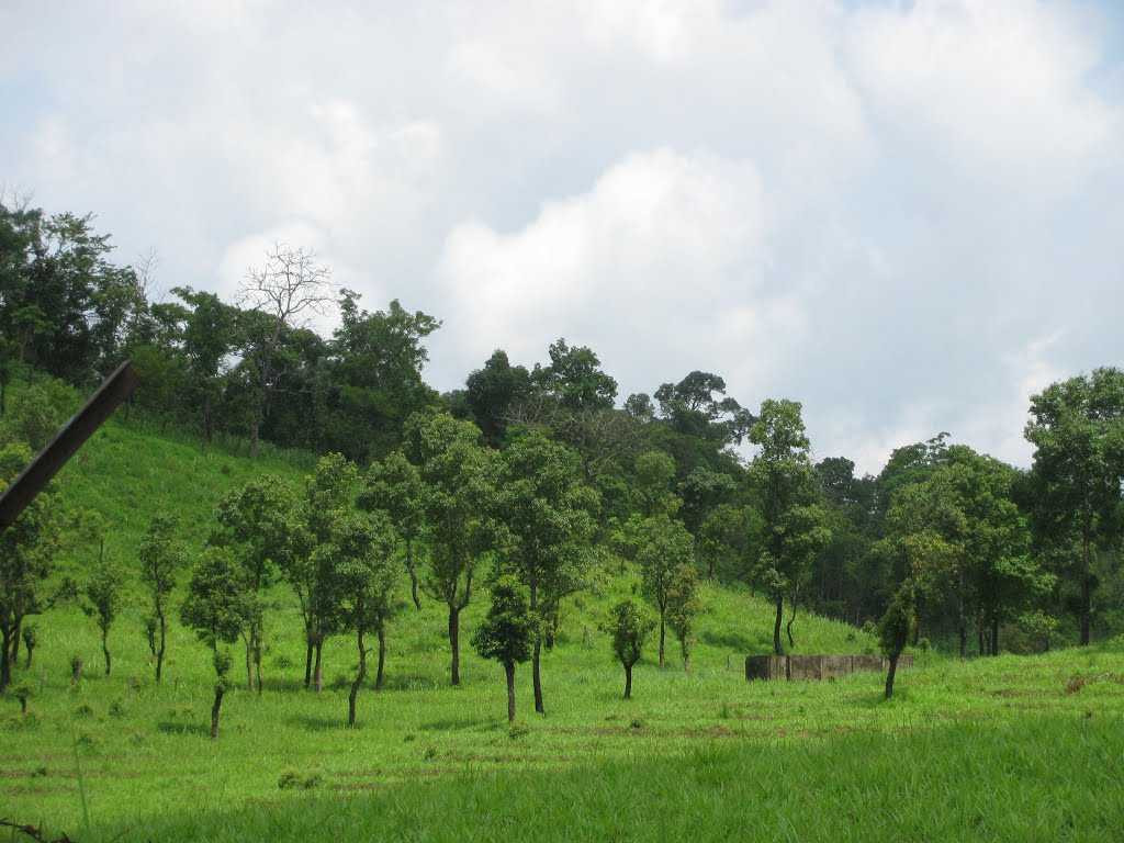 Serchhip, Mizoram - A hidden colour of Mizoram