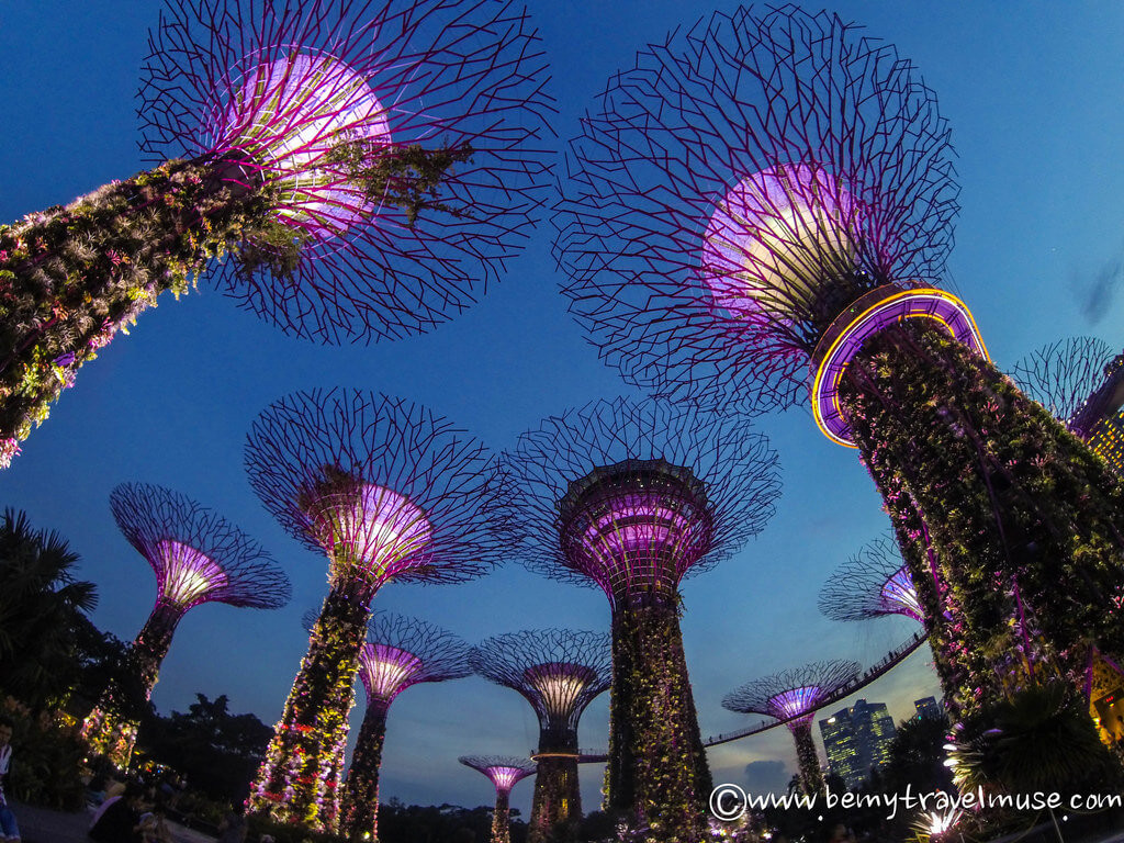 Singapore's Supertrees at Gardens by the Bay illuminated at night
