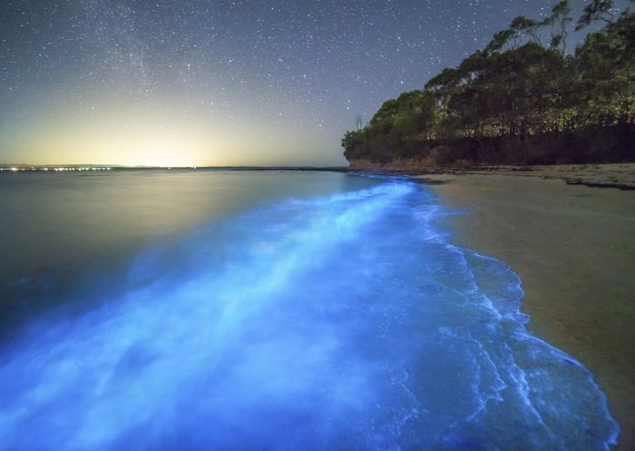Bioluminescent algae at Plantation Point in Vincentia
