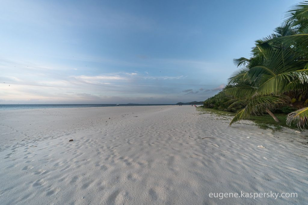Beach with crabs in Seychelles, a potential birthday getaway destination