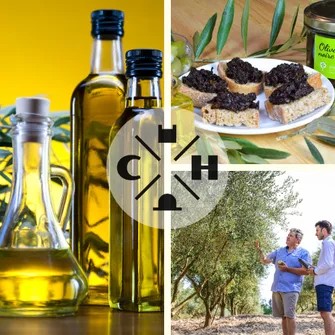 L’olive de A à Z au Domaine Rigaud – “Les Instants C&amp;H”