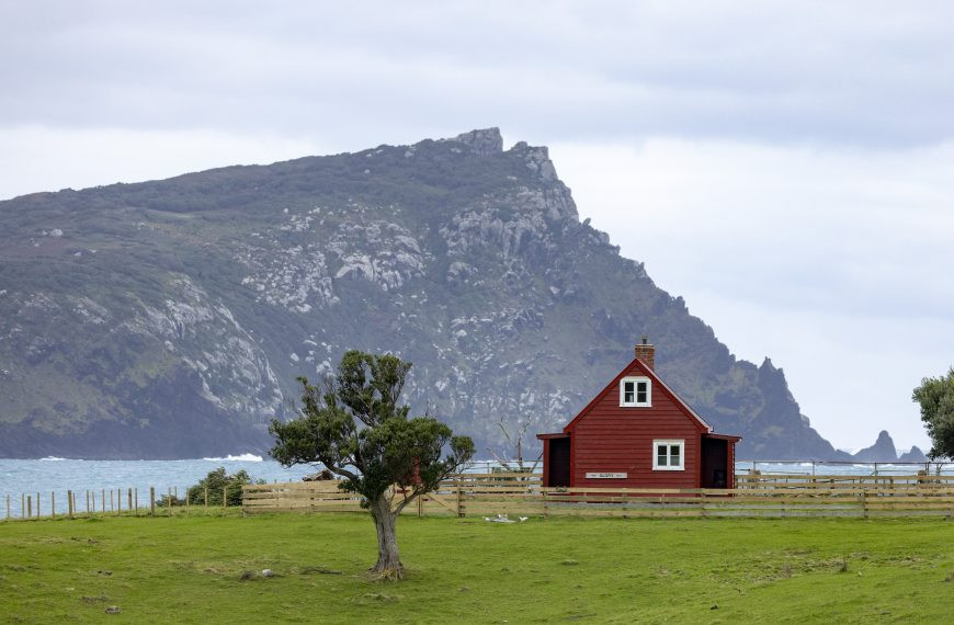 Pitt Island: A Pristine Jewel in the Chatham Islands, Featuring Unique Landscapes and Birdlife