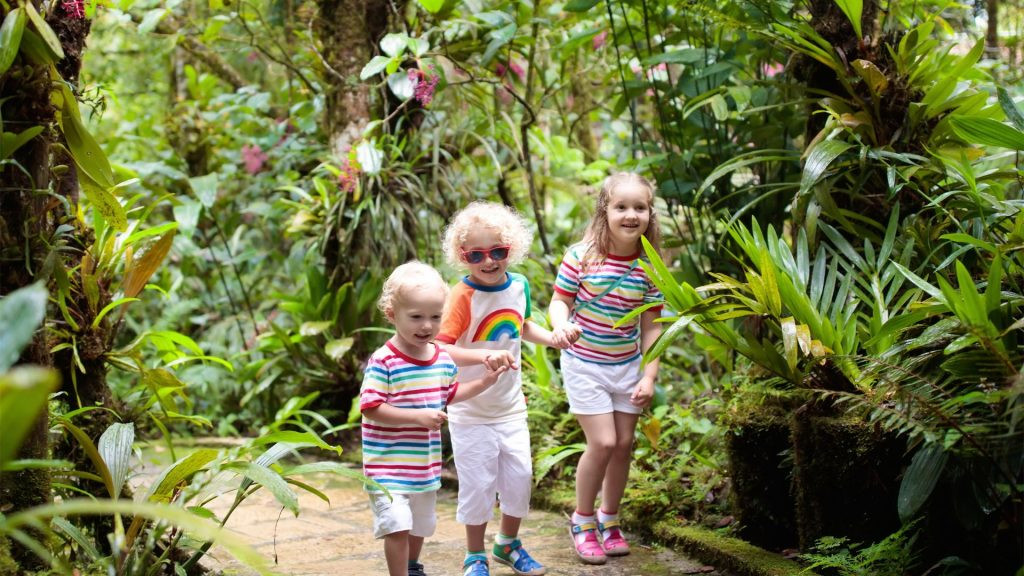 Ecotourism activities