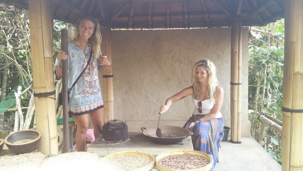 Coffee Tourism - Roasting coffee in Bali