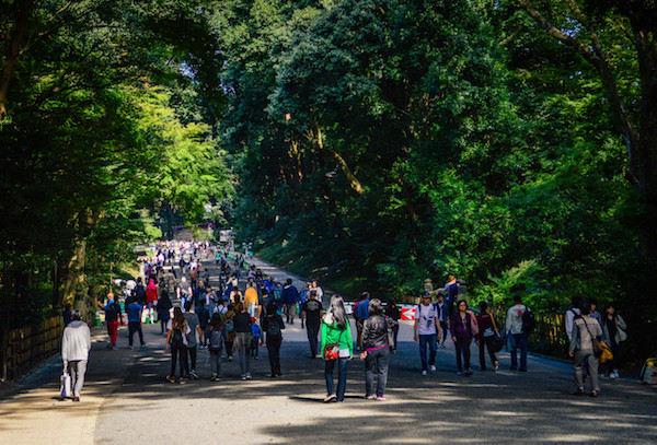 Meiji Shrine Tokyo