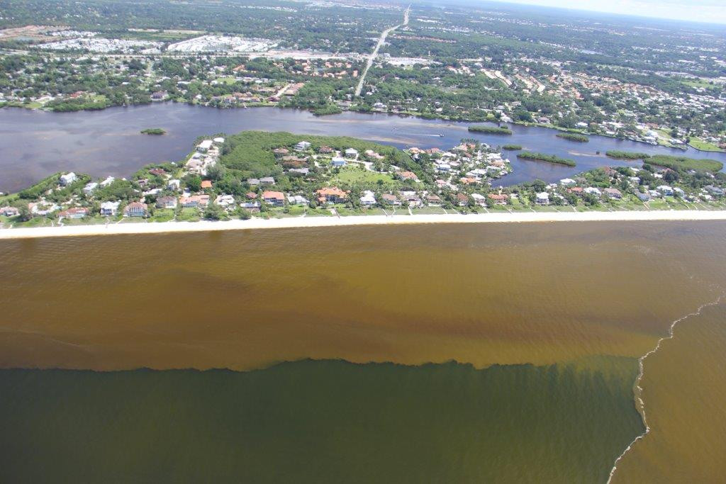 Red tide off Florida's Southwest coastline