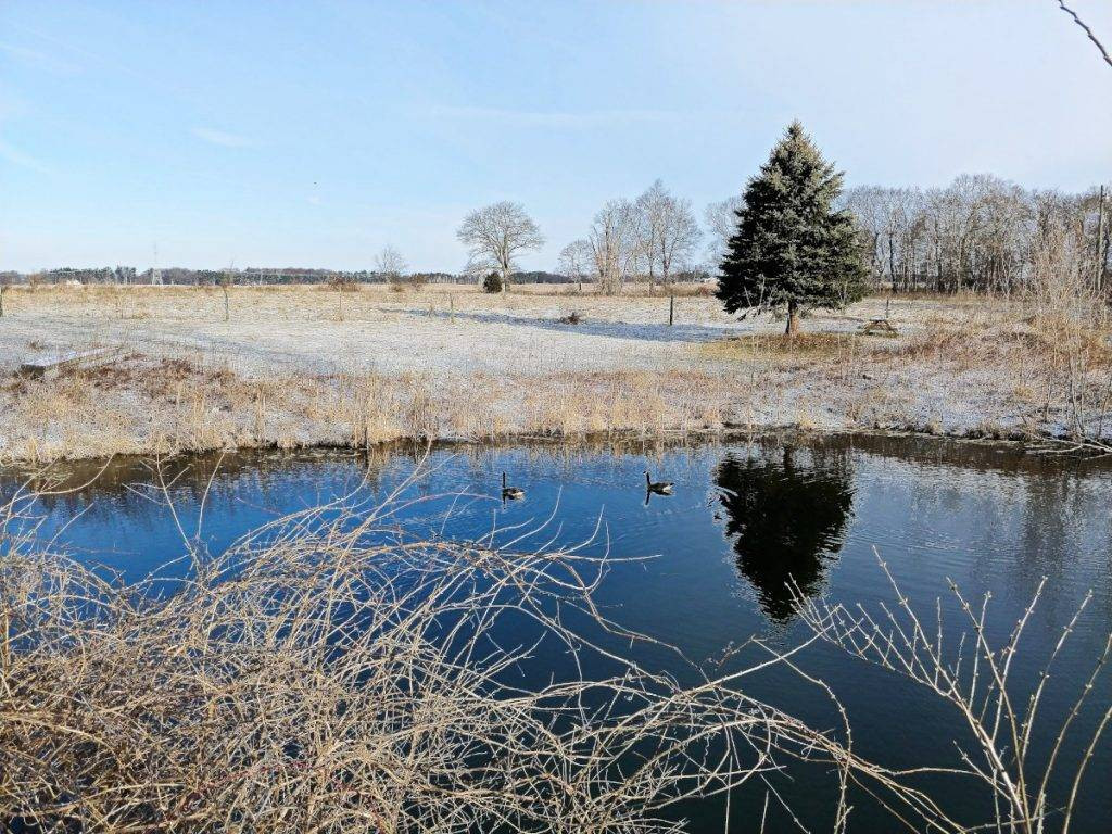 Black Blanket Farms Bed &amp; Breakfast providing a peaceful retreat.