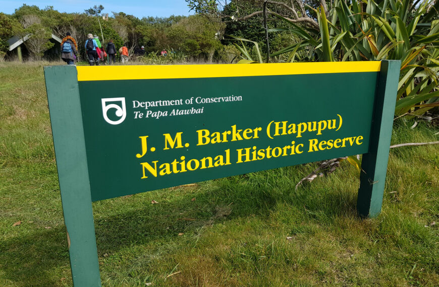 Hapupu National Historic Reserve: Journey Through Moriori History and Heritage