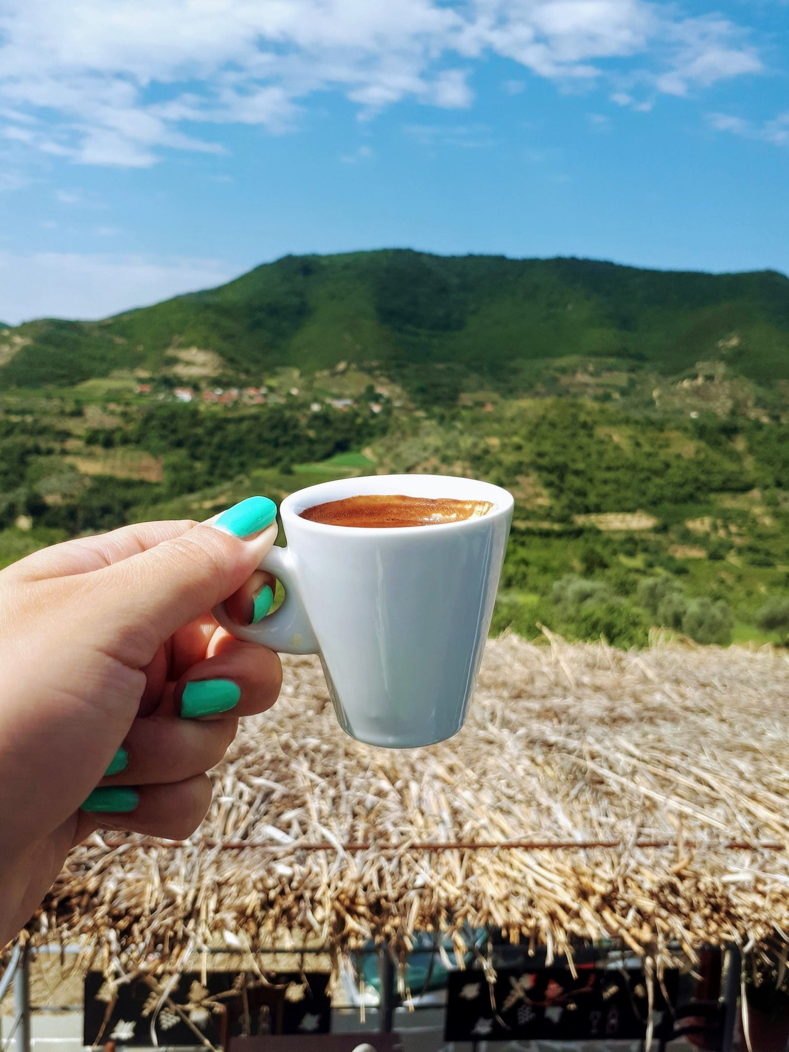 Coffee Tourism - Cheers to coffee