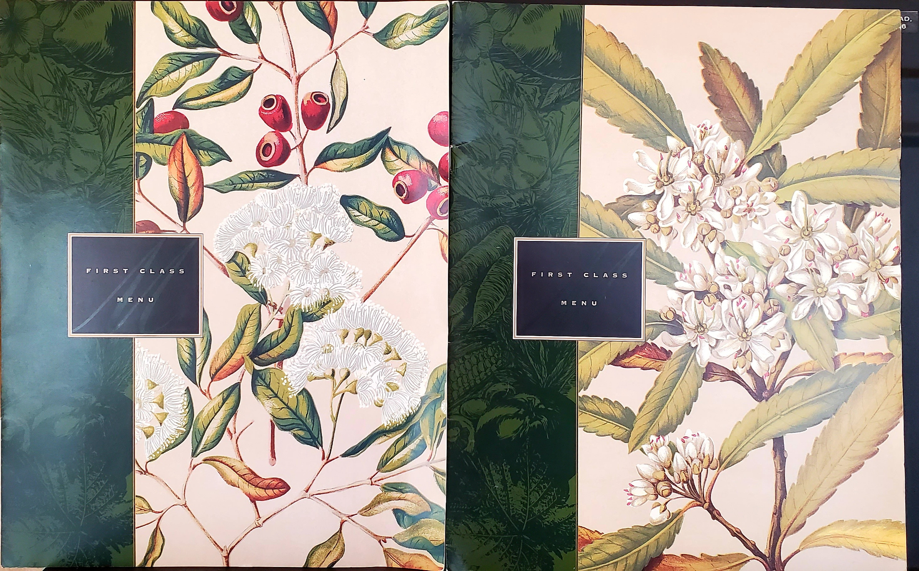 An Air New Zealand menu from a flight between Sydney and Los Angeles, showcasing a gracious host on long-haul flights.