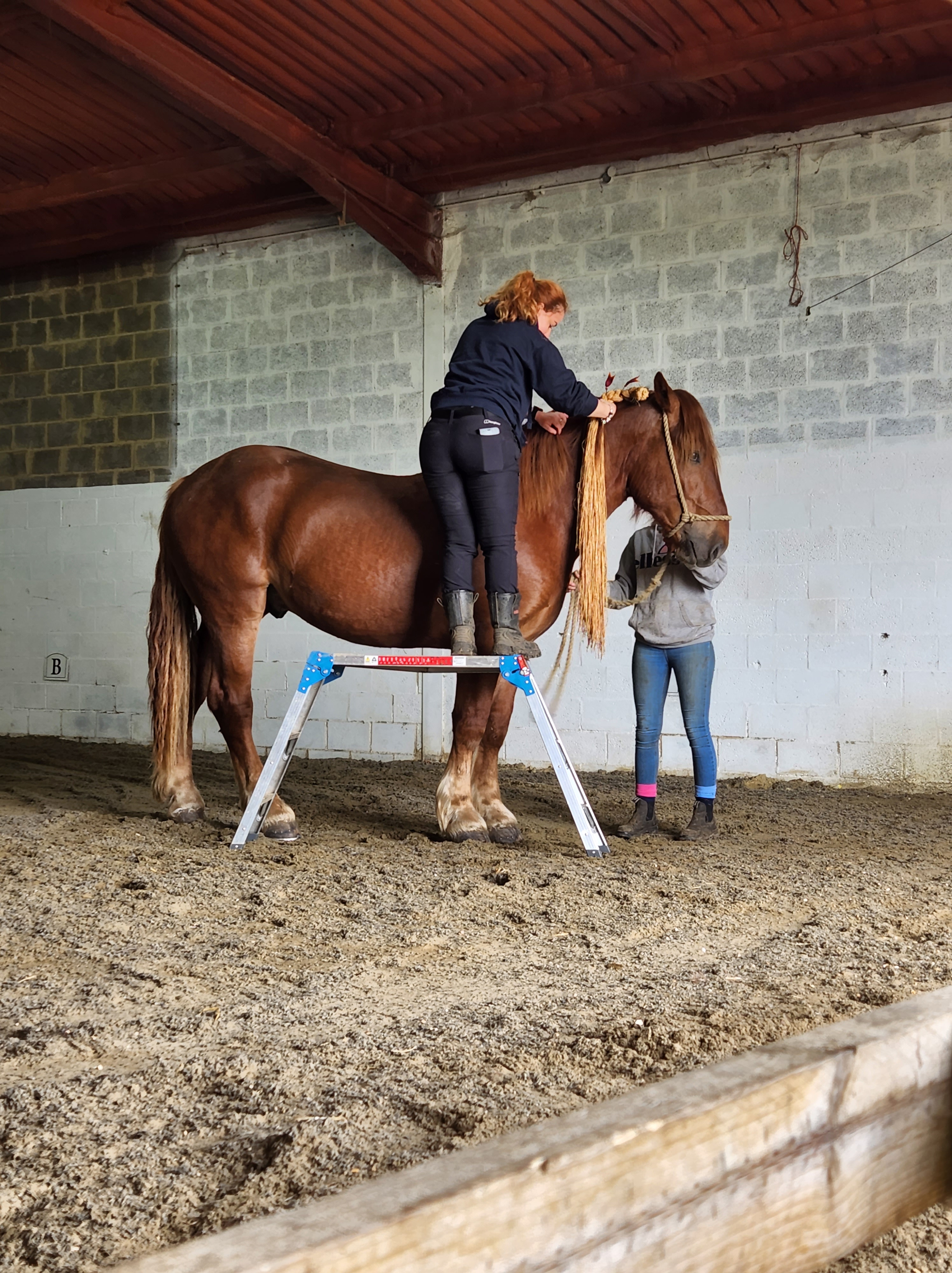 Suffolk Punch Trust