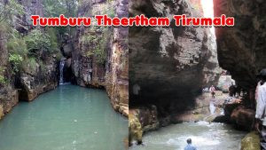 Attractive water falls in the district are Talakona