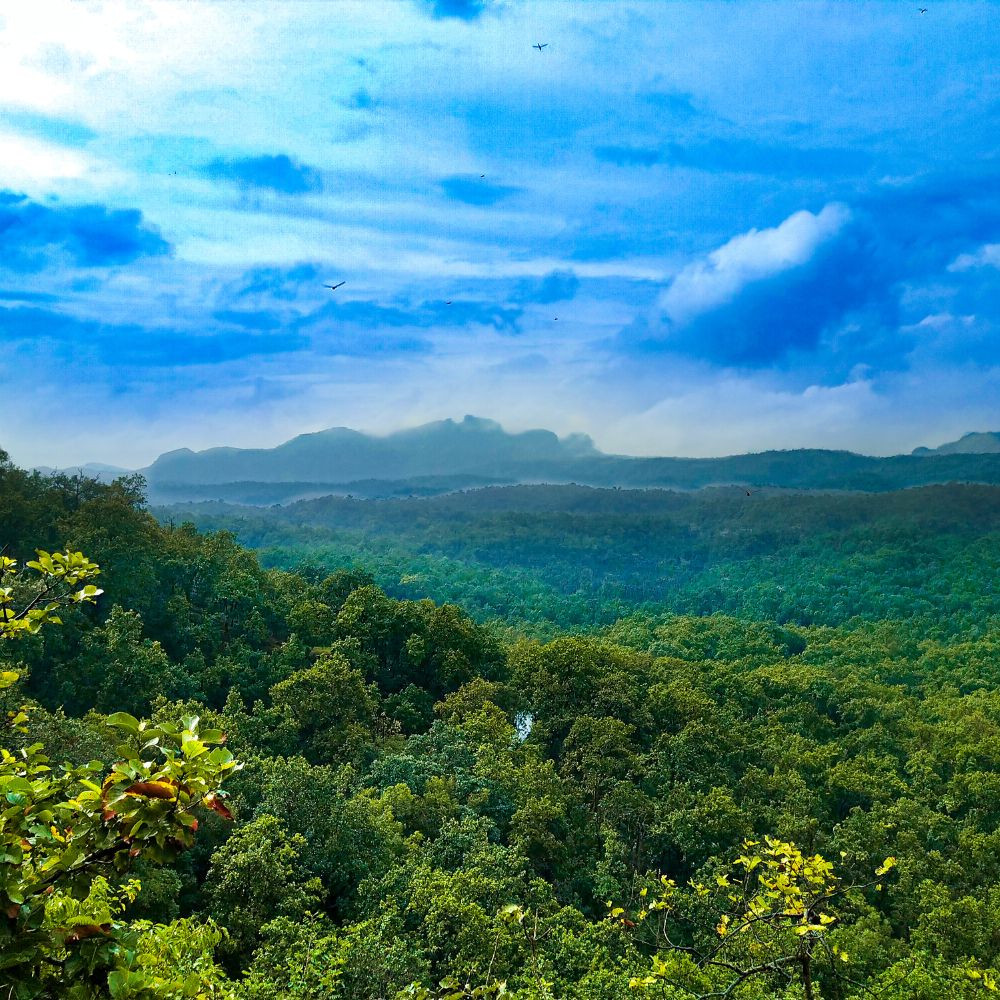 Bee Falls in Pachmarhi