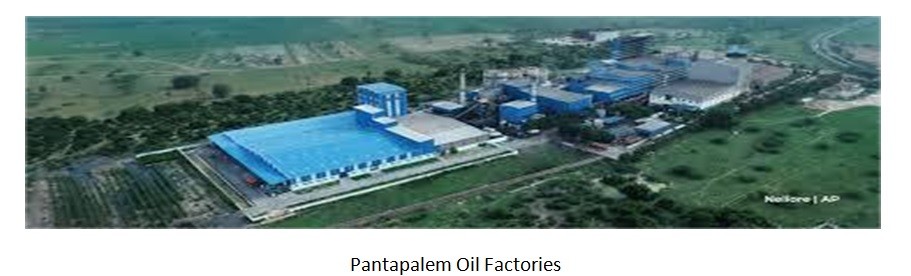 Pantapalem Oil Factories.