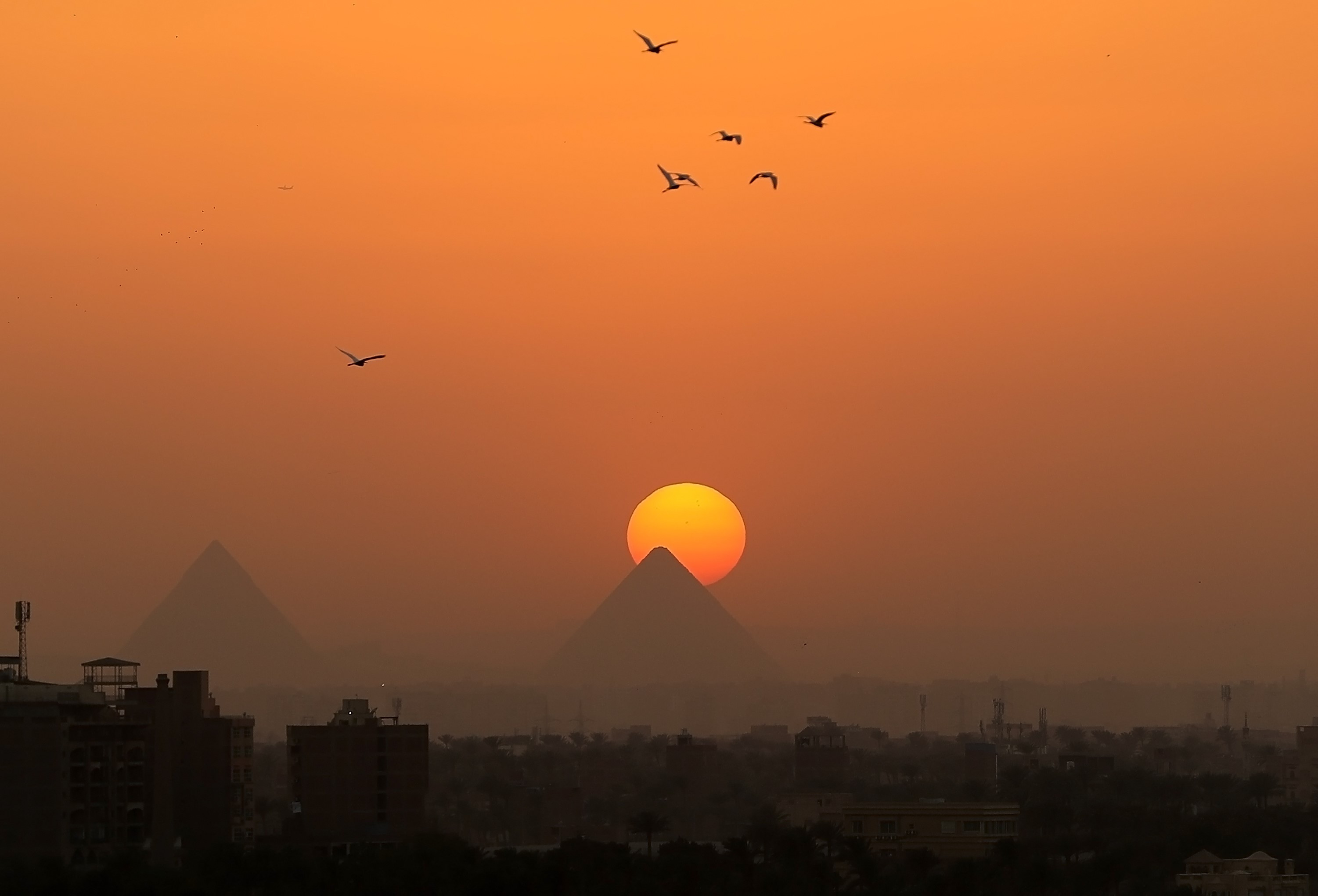 Giza Pyramids at sunset viewed from Cairo, Egypt with birds flying over the city