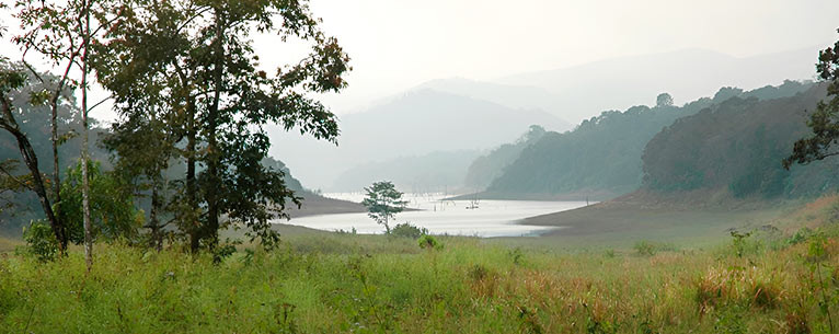 Periyar Tiger Reserve