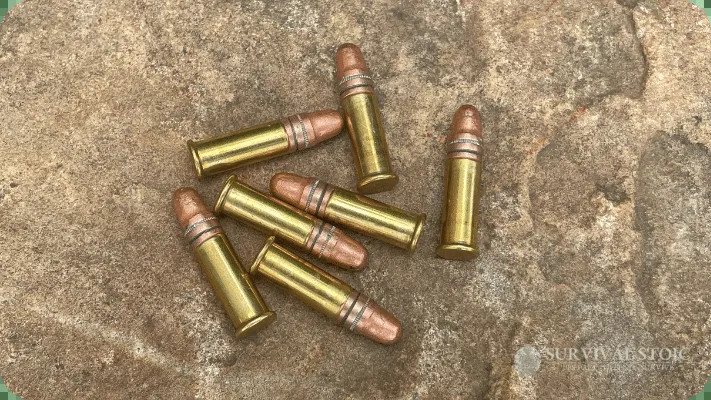 .22 LR cartridges