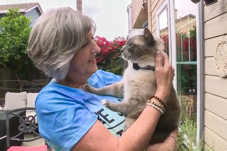 Benny and Susanne Anguiano smiling, reunited with their cat Rayne Beau, who is calmly sitting in Susanne's lap