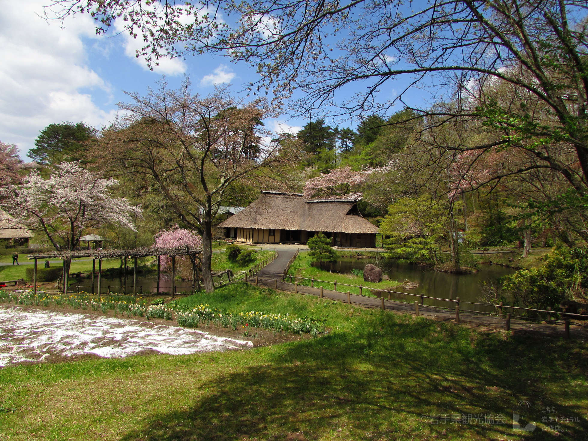 Traditional buildings at Michinoku Folk Village showcasing the rural architecture and cultural heritage of the Tohoku region in Iwate Prefecture