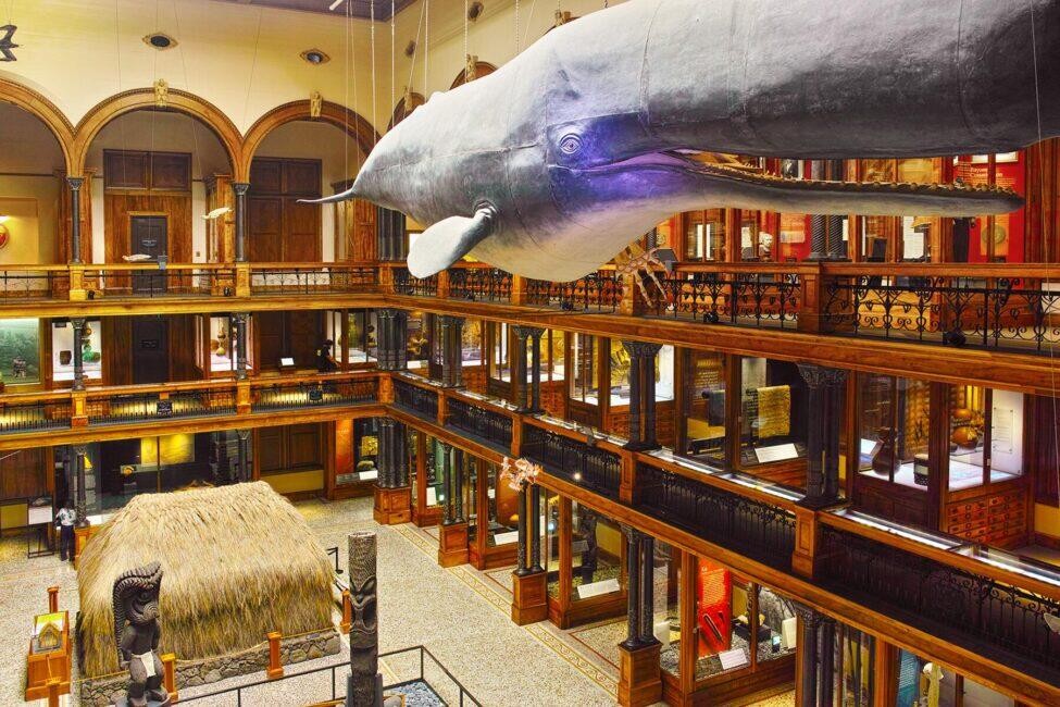 Bishop Museum is a fantastic resource