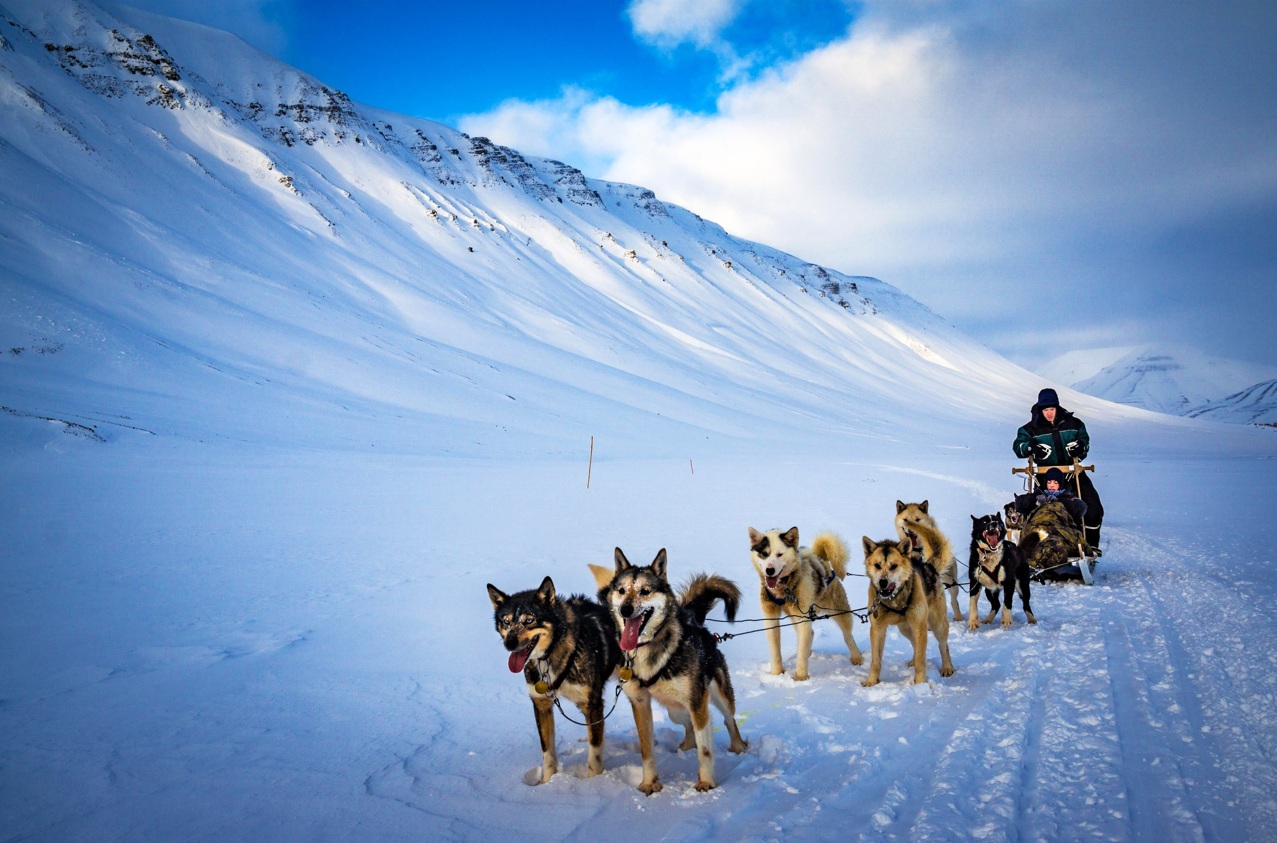 Dog sledding near Longyearbyen, Svalbard, Norway, one of the best places to go on holiday in March